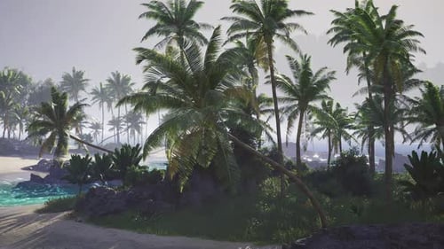 Lush Tropical Landscape Featuring Palm Trees Near a Tranquil Beach Setting