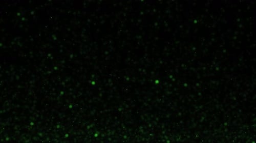 3D Green Glow Sparks Particles on Black Bg Move Up