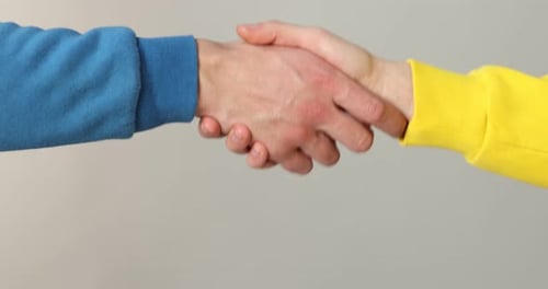 Two hands meet for a firm handshake