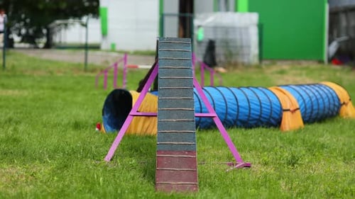 A Shepherd Dog Runs in the Agility Park at Competitions a Dog Show