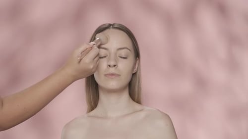 Makeup Process Makeup Artist's Hand Applies Makeup on a Woman's Face with a Brush Seminude Woman in