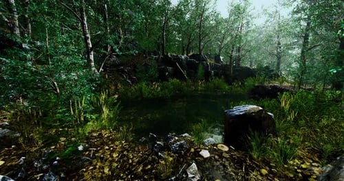 Hidden Tranquility in a Lush Forest Oasis Surrounded By Vibrant Foliage