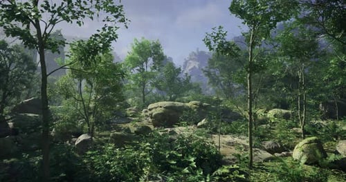 Lush Greenery in a Serene Forest Landscape at Midday