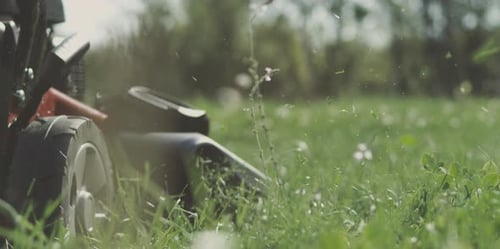 Lawn mower cutting grass