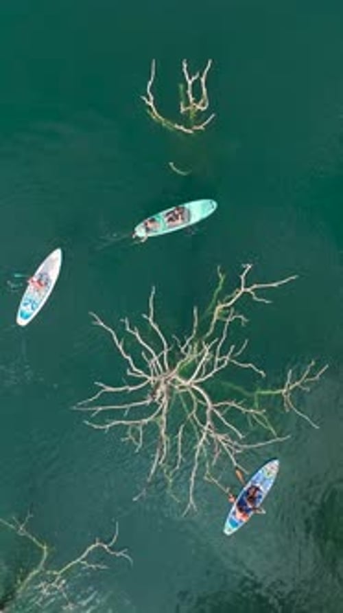 Vertical Video Paddleboarding Through a Green Canyon with People Floating and Relaxing Under Clear
