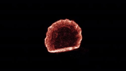 Abstract Particle Burst Logo Reveal