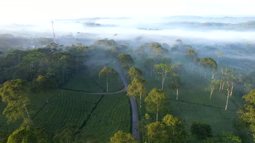 Mountain landscape with peaks covered by clouds