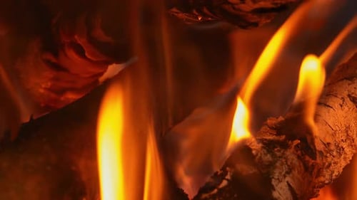 Feu de camp (2 km)