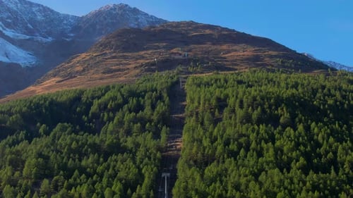 Scenic Alpine Cable Car Ascending Lush Pine Forest with Snow-Capped Mountain Backdrop