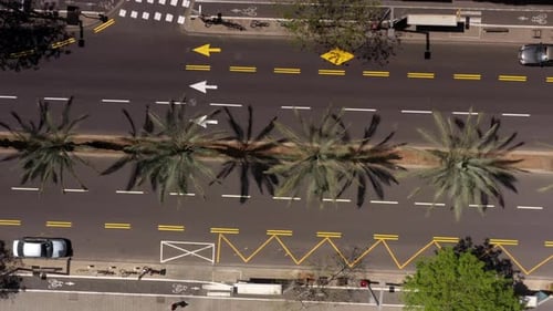 Empty road with Palm trees aerial top down view, Tel Aviv