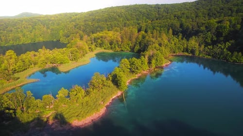 Mountain lake with clear azure fresh water and alpine forest. Aerial view of amazing landscape with