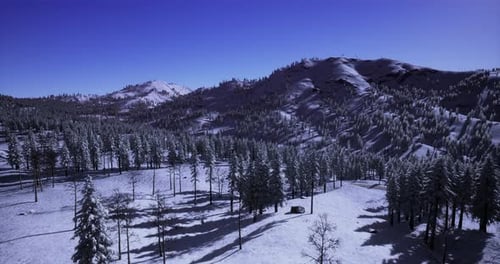 Aerial View of Snowy Mountain Pine Forest Landscape