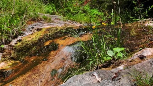 Close up of a stream in the mountains on a sunny day