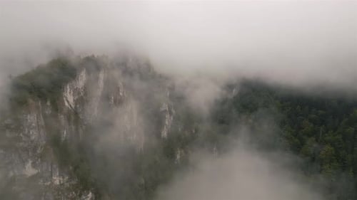 Mystic Mountains Forest With Misty Clouds in Autumn Nature Aerial View