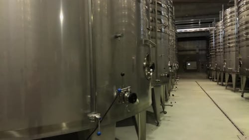 Bodega Gotica is a family business that has been producing grapes for several generations in the mun