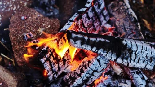 Flammen in Zeitlupe, die verkohltes Holz in einem rustikalen Lagerfeuer verzehren, 4K, brennende Baumstämme