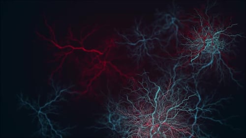 Abstract Red and Blue Neuron Network Electrical Impulse Background Loop