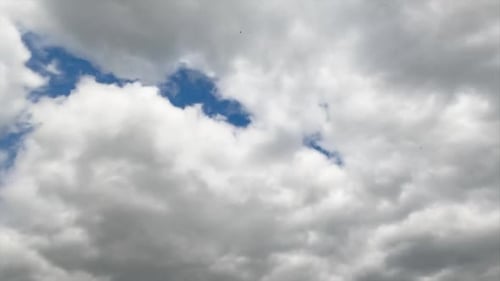 Grey cumulus cloudscape totally covering the sky. Rainy dramatic clouds formation. Timelapse.