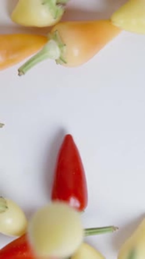 Vertical video. A top-down view of assorted colorful Rosemary mini peppers falling onto a white