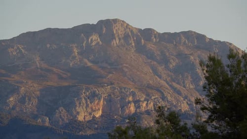 Mountain Sunrise with Coniferous Tree