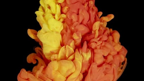 Vibrant Yellow and Red Ink Cloud on Black