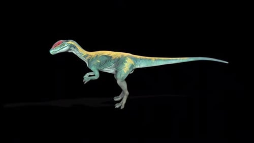 Animated 3D Dinosaur Walking Cycle