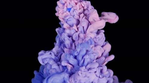 Blue Paint and Pink Acrylic Ink Mix Gracefully Creating a Dynamic Colorful Cloud in Water on Black