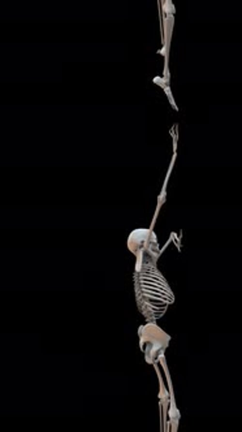 Skeletons Drag Crawl Loop