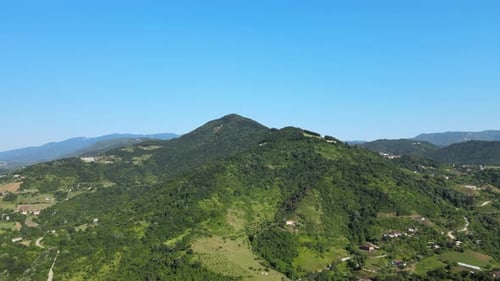 Aerial View of a Lush Green Mountain