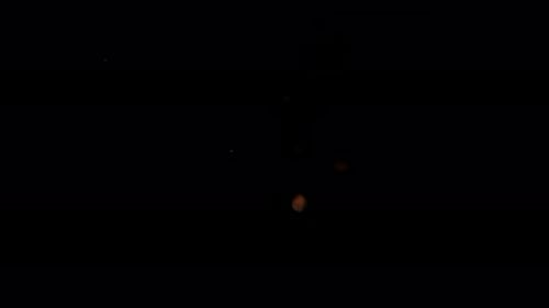 Bottom View Isolated Slow Motion Macro Shooting Capturing Lots of Fresh Hazelnuts Falling Down to