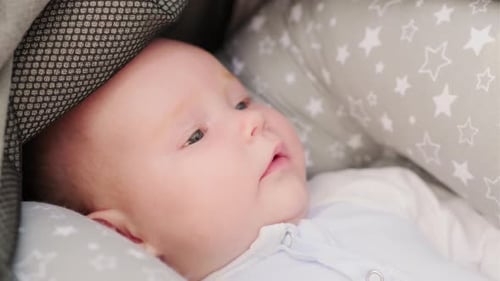 Close-Up of Adorable Infant Lying in Stroller