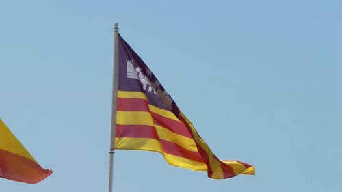Vibrant Flag Waving in the Wind