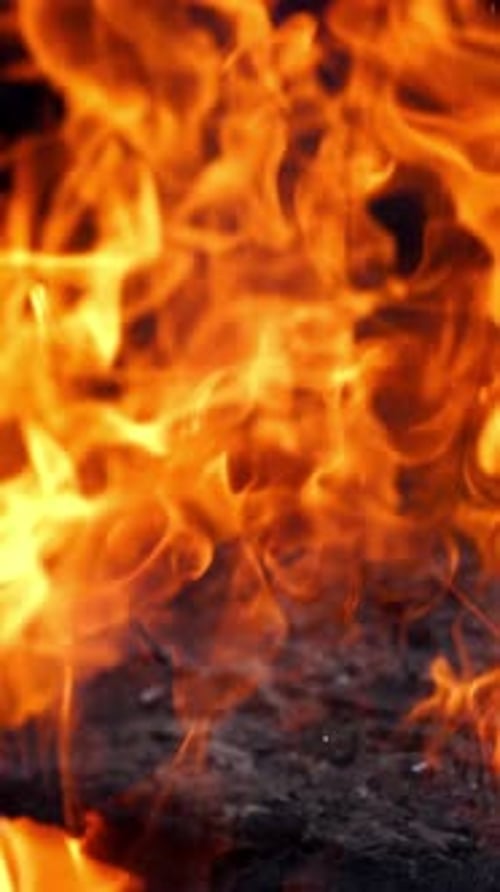 Nahaufnahme eines lodernden Feuers. Brennendes Feuer in einem Kamin aus nächster Nähe