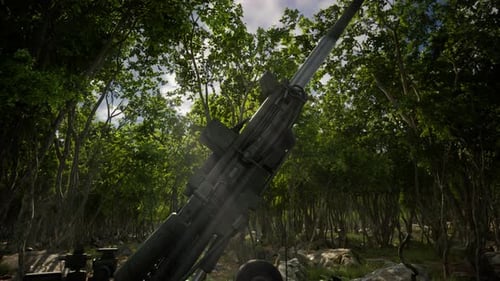 Big Gun Cannon in the Forest