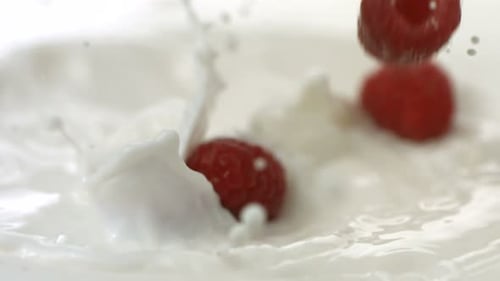 Fresh raspberries splashing into cream in slow motion studio shot