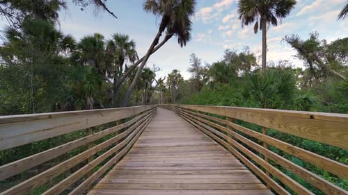 Wooden Boardwalk Trail in North Port Florida Pathway Through Wild Tropical Jungles Nature with Dense