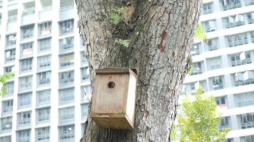 un Bee Hotel, un hôtel contre les insectes sur l'arbre