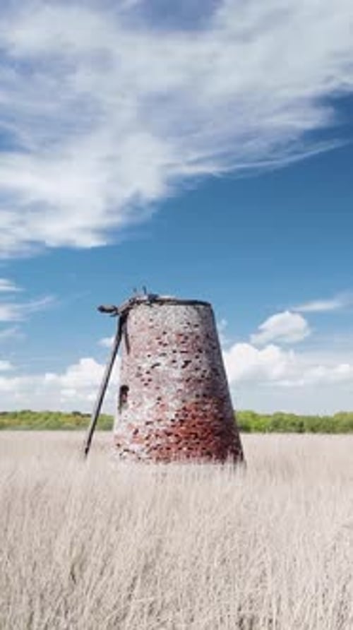 Rustic windmill pump in tall grassy wetland marshes VERTICAL shot