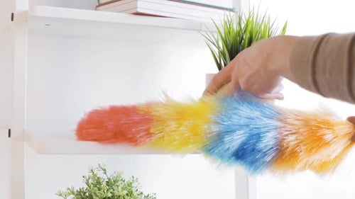 Colorful Duster Cleaning White Shelves with Potted Plants