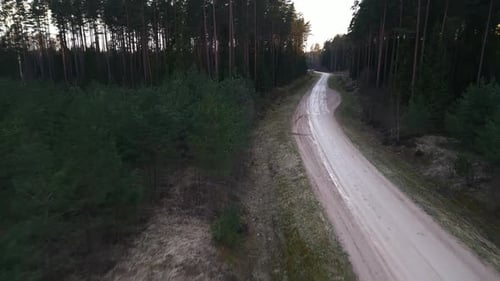 Birdseye View of Dirt Road Winding Through Lush Forest