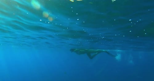 Underwater beauty swimming in the ocean near Miami Florida in slow motion