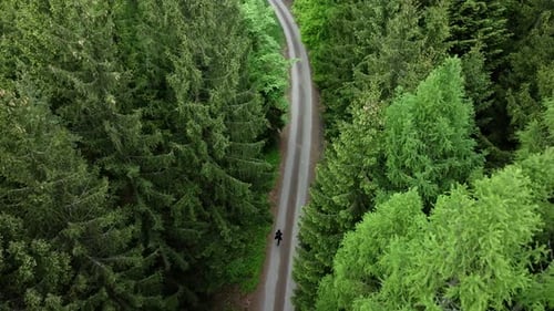 Man walking alone in the forest on a path. A solitary walk in nature from a drone perspective