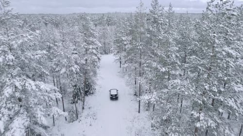 Drone view of car driving on wintery road in pine forest