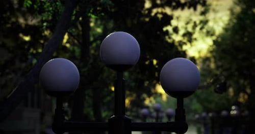 Outdoor Streetlights Illuminate a Park in the Evening Atmosphere