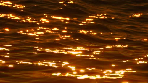 Sunset Water Reflections Gold Light Evening Lake Surface Reflecting Golden Sunlight Creating