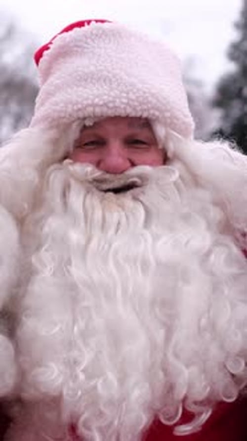 Santa Claus Portrait Holiday Season Celebration