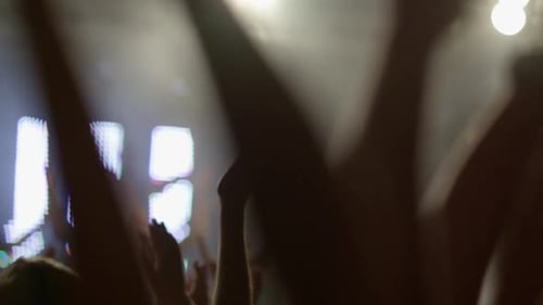 Energetic Concert Crowd Enjoying a Live Performance