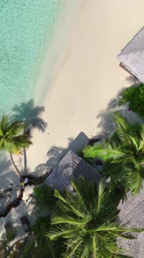 Tropical White Sand Beach with Calm Turquoise Water and Palm Trees Under Blue Sky Serene Atmosphere