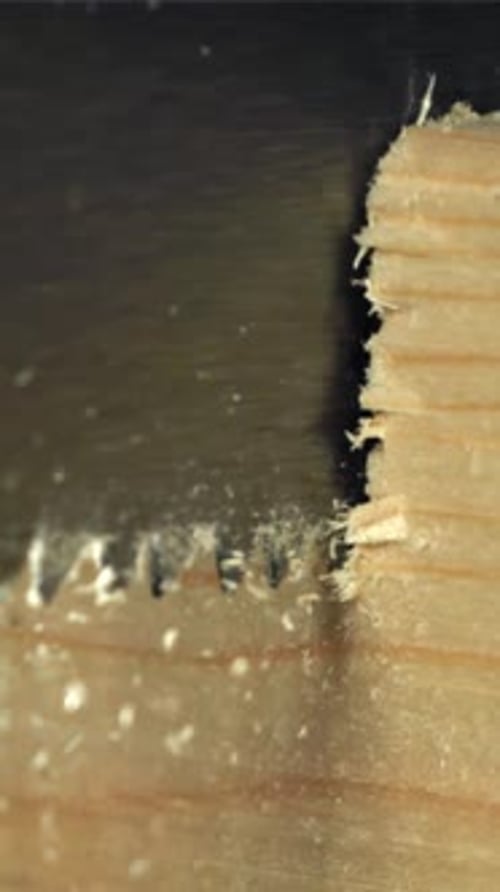 Sawing the Board Filmed on a Highspeed Camera at 1000 Fps