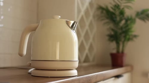 Electric Tea Kettle Steaming in a Kitchen